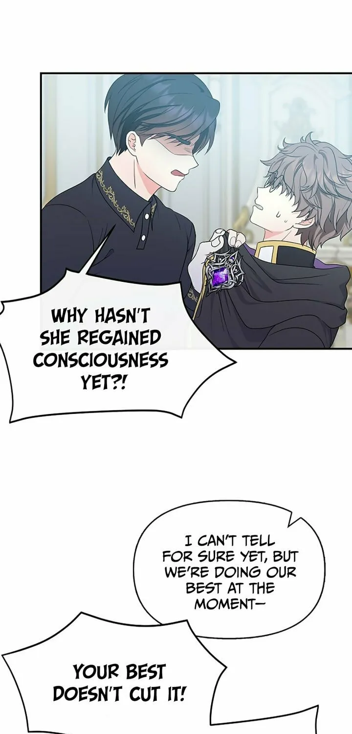Reborn as the Protagonists