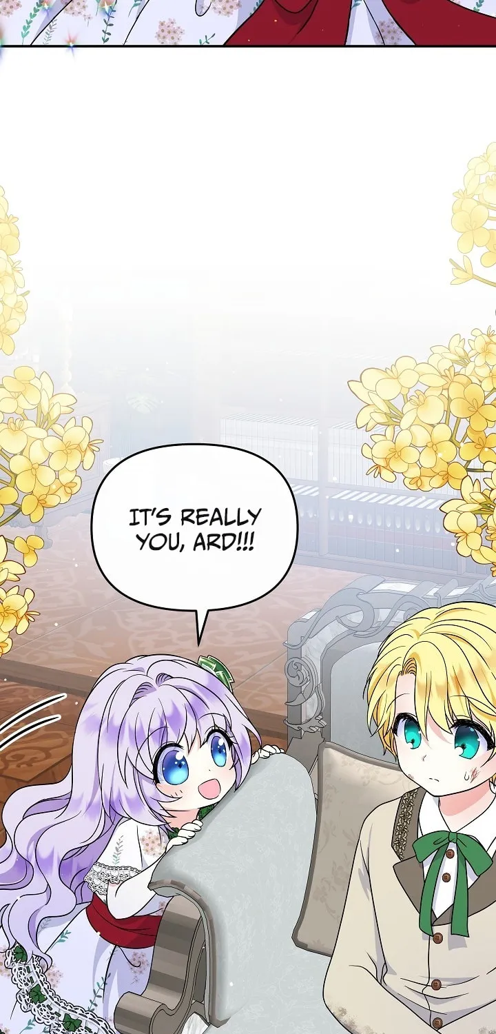 Reborn as the Protagonists