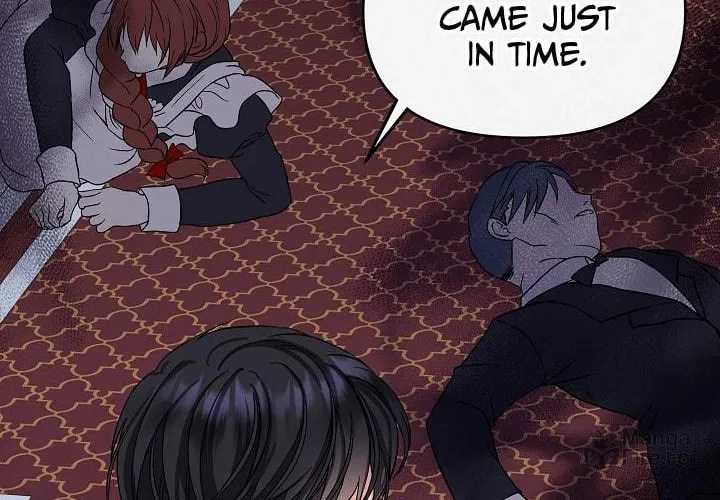 Reborn as the Protagonists