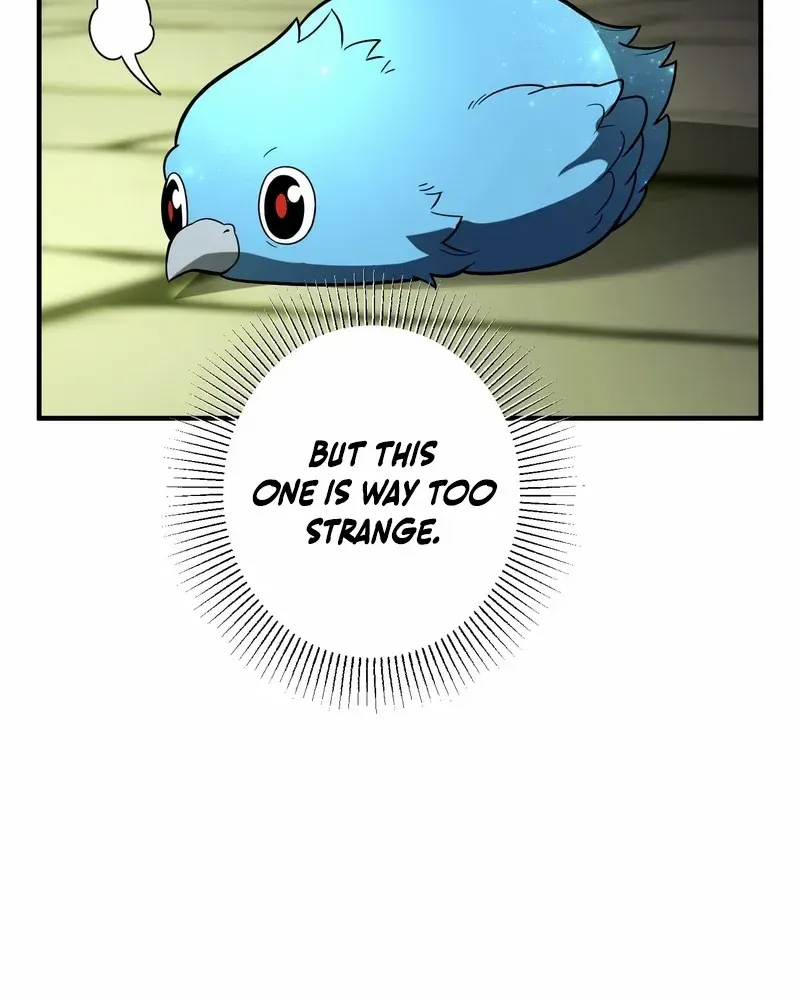Reborn Ranker – Gravity User Chapter 111 page 7 - 