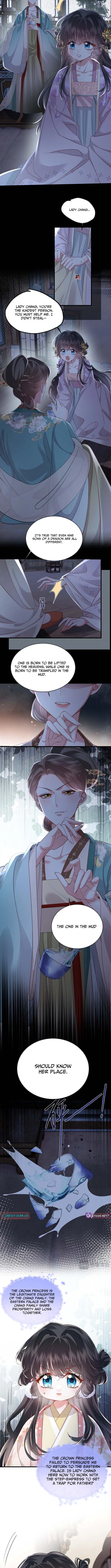 Reborn to Choose a Playboy Father as Emperor Chapter 11 page 3 - 
