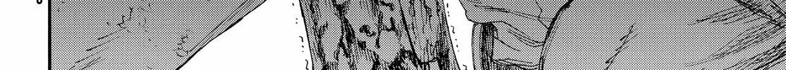 Record of Highserk War Chapter 15 page 45 - 