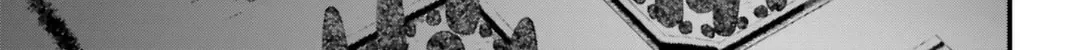 Record of Ragnarok: Jack the Ripper Case Files Chapter 2.1 page 6 - 