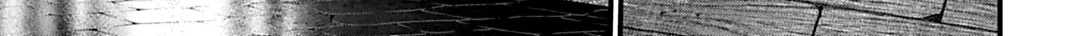 Record of Ragnarok: Jack the Ripper Case Files Chapter 54 page 11 - 