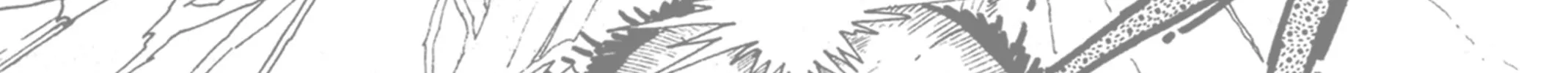 Records of Nothingness Chapter 13 page 138 - 