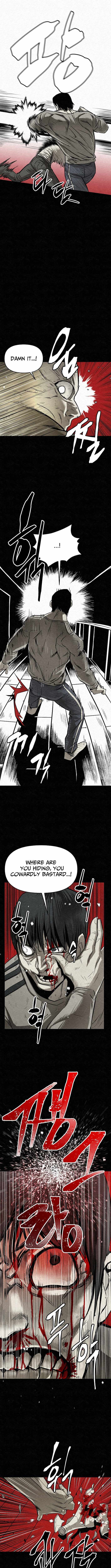 red cage: Recall Chapter 11 page 5 - 