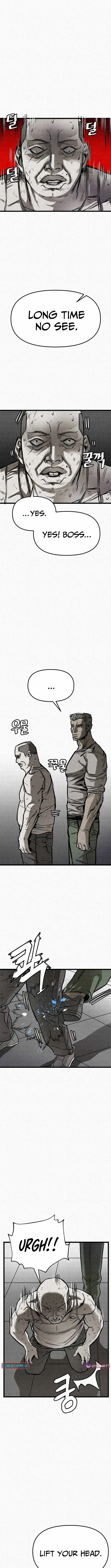 red cage: Recall Chapter 21 page 3 - 
