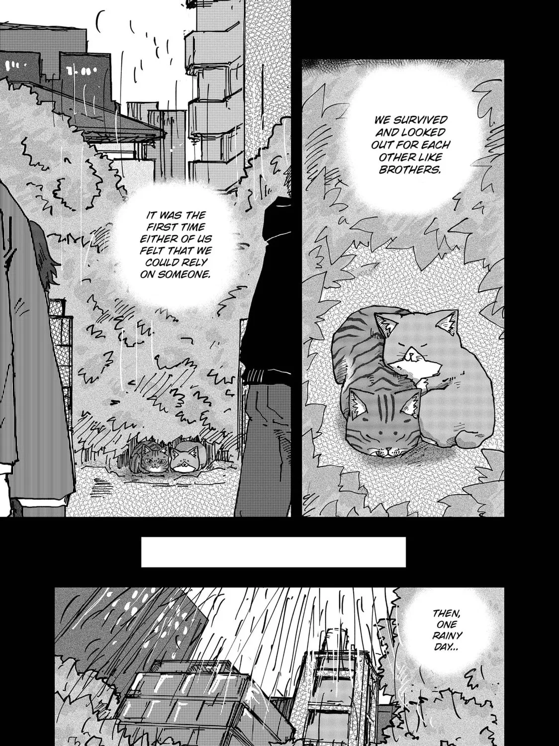 Red Cat Ramen Chapter 117 page 21 - 