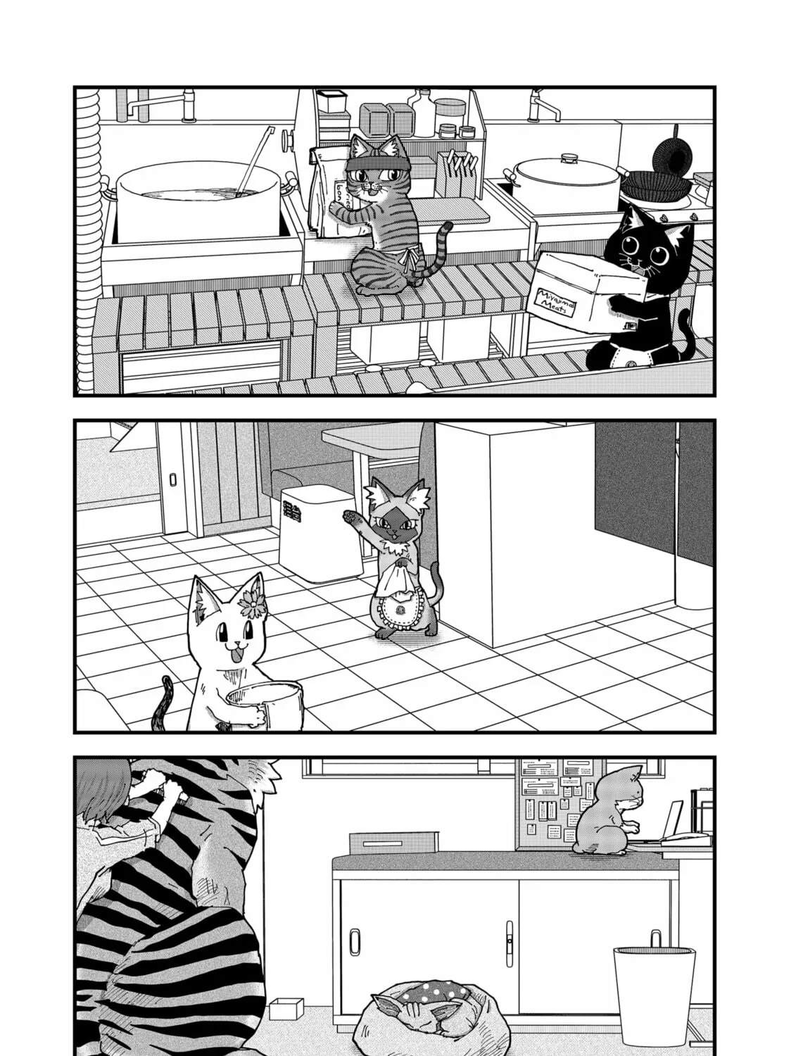 Red Cat Ramen Chapter 165 page 13 - 