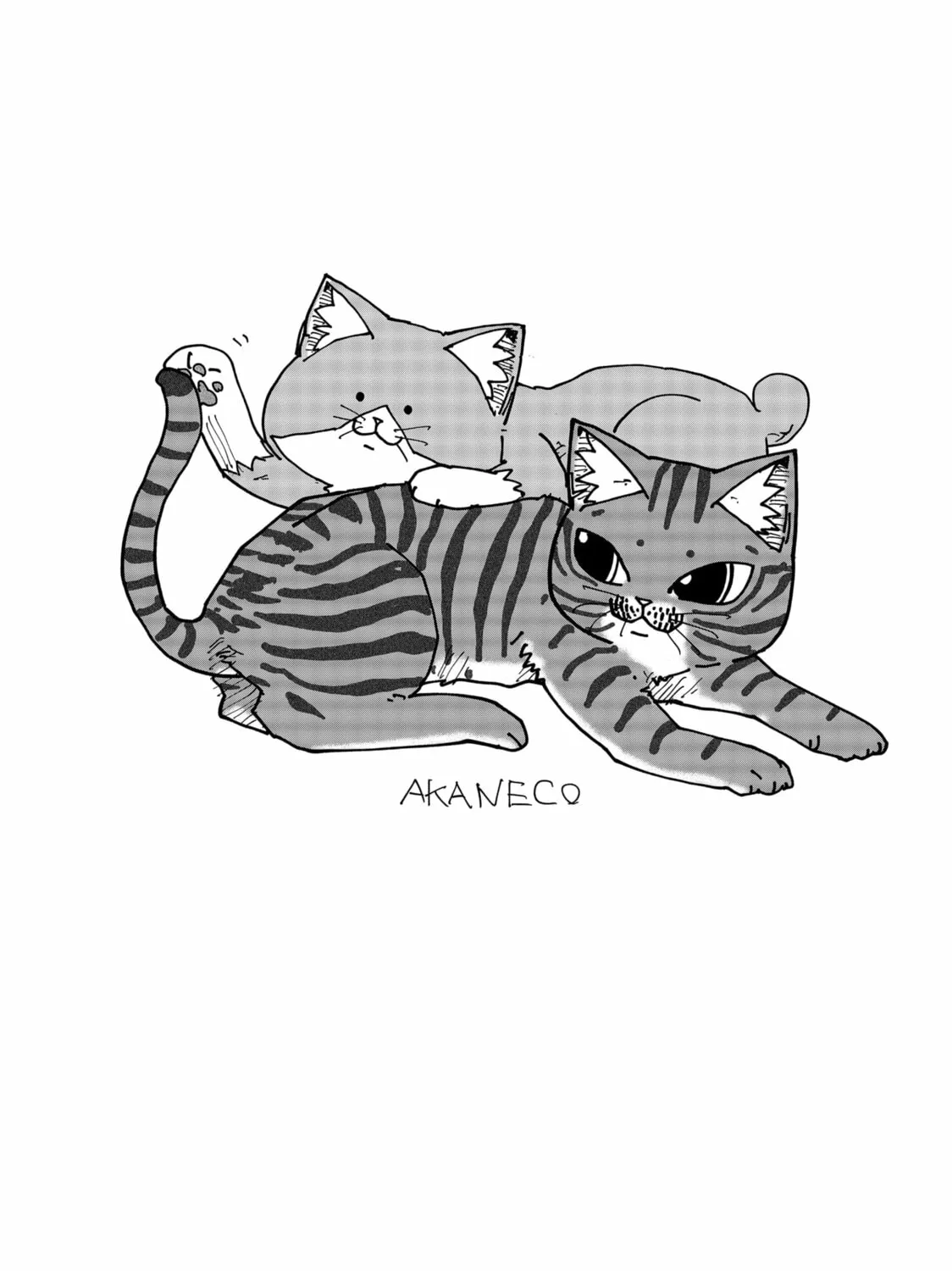 Red Cat Ramen Chapter 170.5 page 3 - 