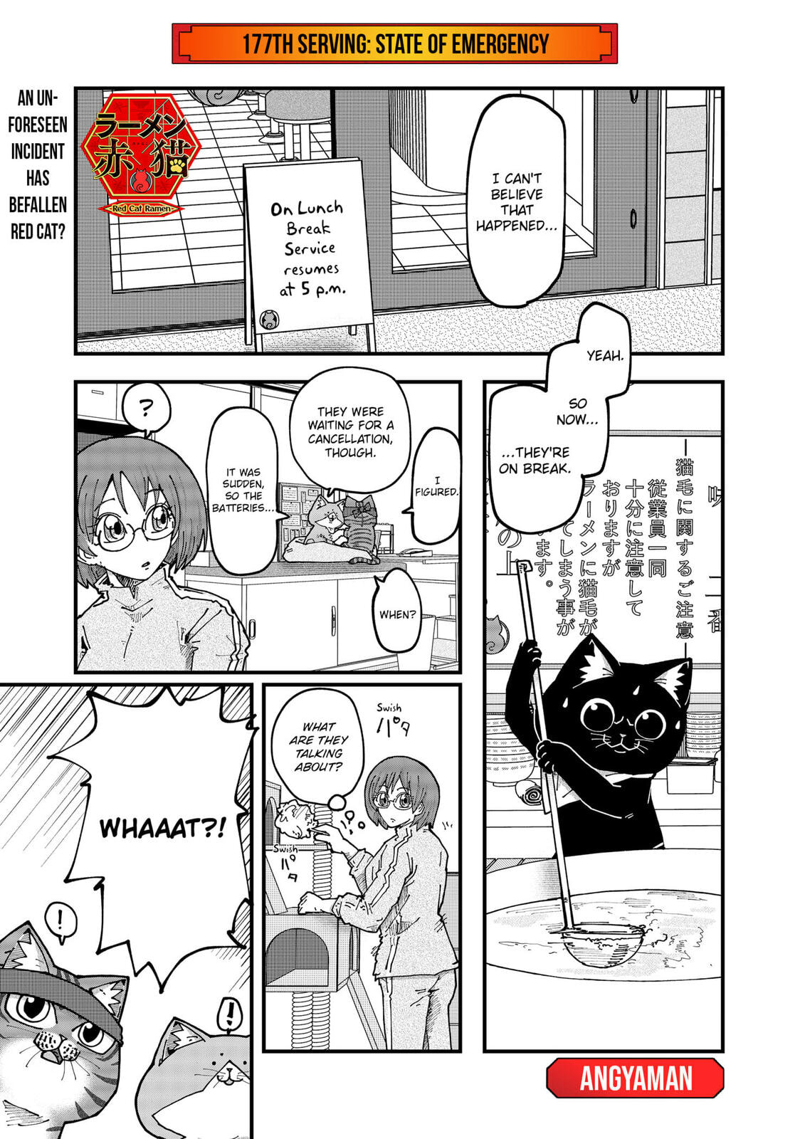 Red Cat Ramen Chapter 177 page 1 - 