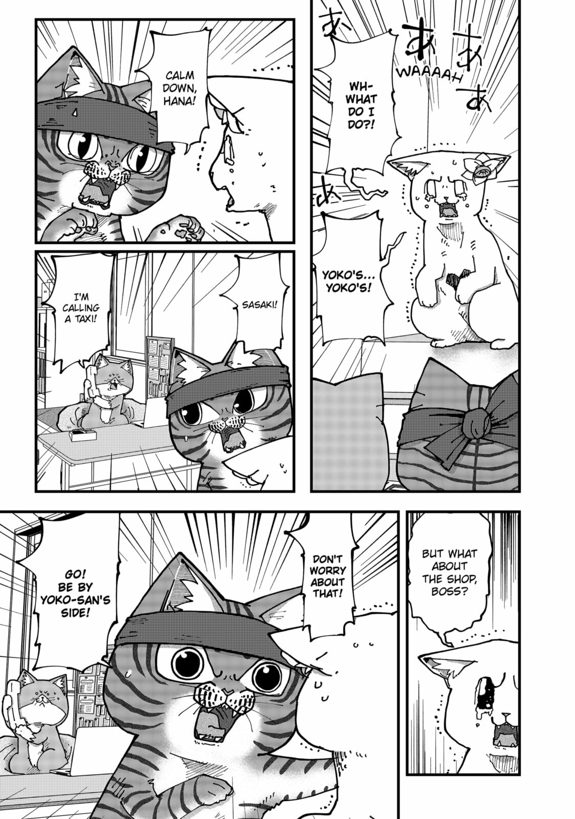 Red Cat Ramen Chapter 177 page 3 - 