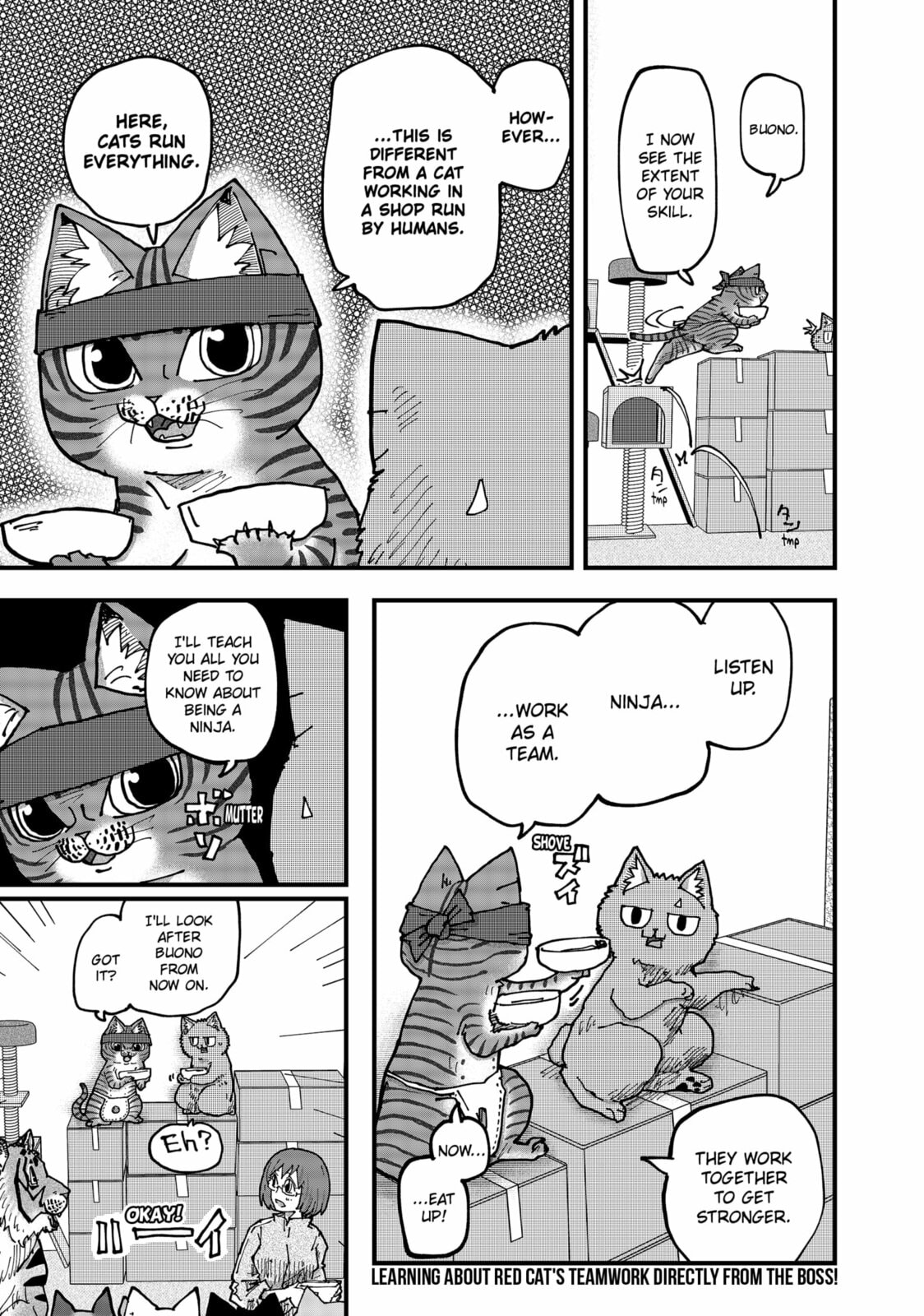 Red Cat Ramen Chapter 183 page 15 - 