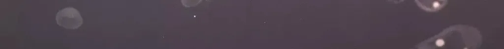 Red Thread Quest Chapter 30 page 122 - 
