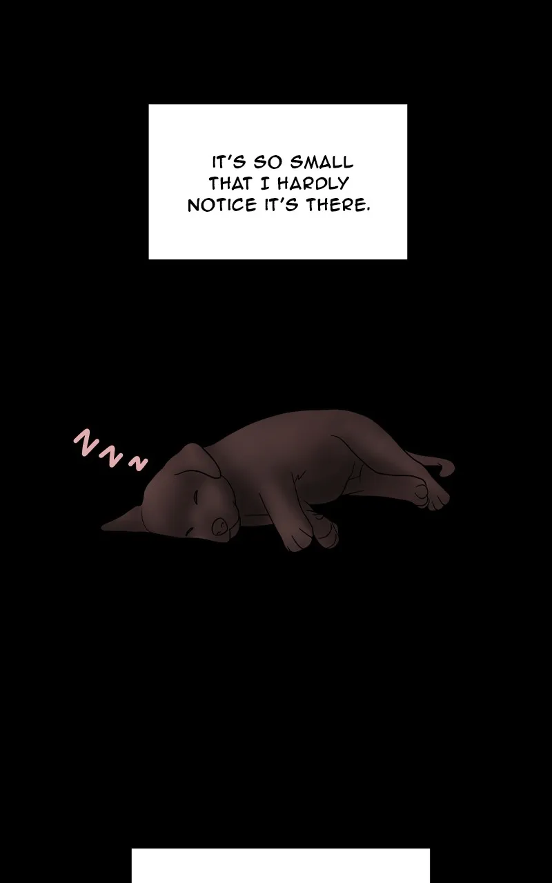 Reflection of the Soul Chapter 12 page 42 - 