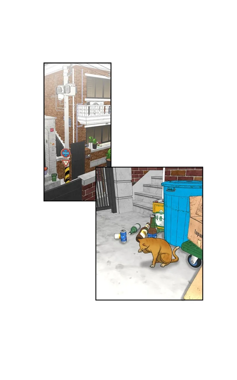 Reflection of the Soul Chapter 46 page 1 - 