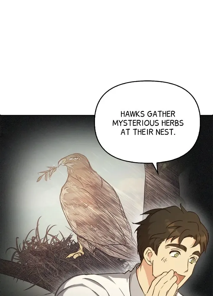 Regas Chapter 16 page 91 - 