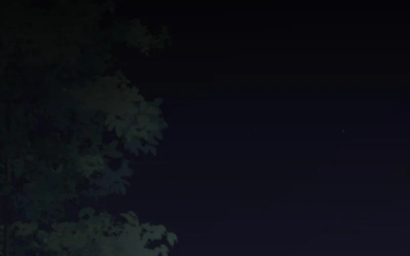 Regas Chapter 22 page 114 - 