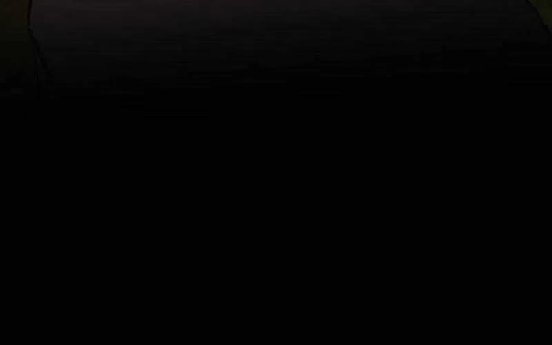 Regas Chapter 29 page 154 - 