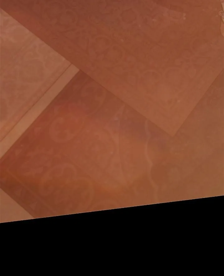 Regas Chapter 44 page 96 - 