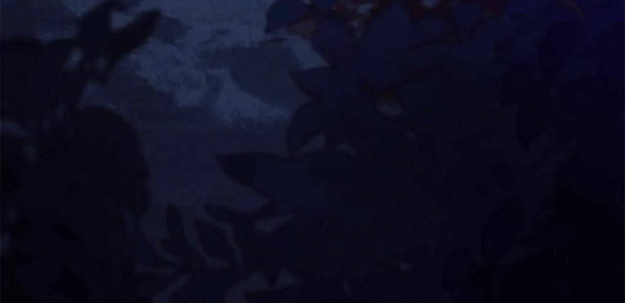 Regas Chapter 65 page 197 - 