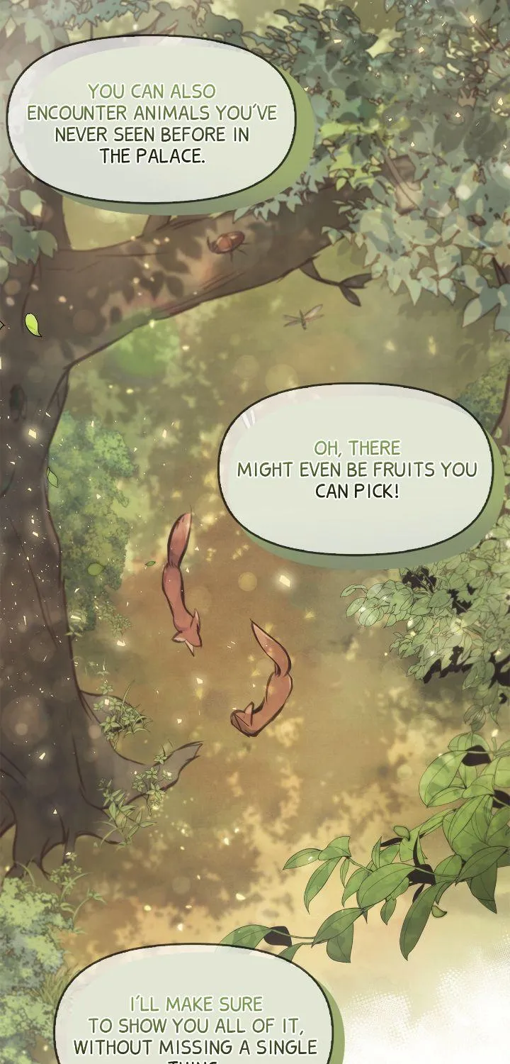 Regas Chapter 8 page 62 - 