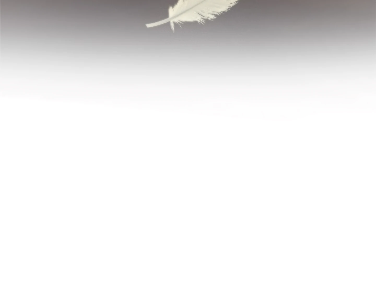 Regas Chapter 81 page 211 - 