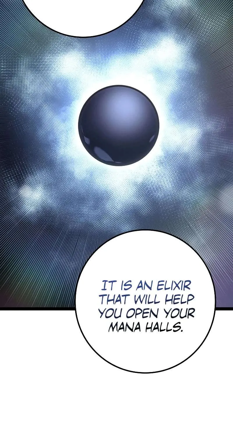 Regressing As The Reincarnated Bastard Of The Sword Clan Chapter 19 page 95 - 