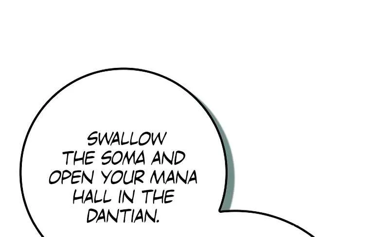 Regressing As The Reincarnated Bastard Of The Sword Clan Chapter 19 page 96 - 