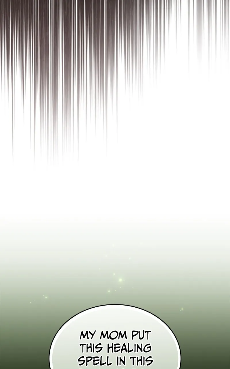 Regression of the Close Combat Mage Chapter 10 page 58 - 
