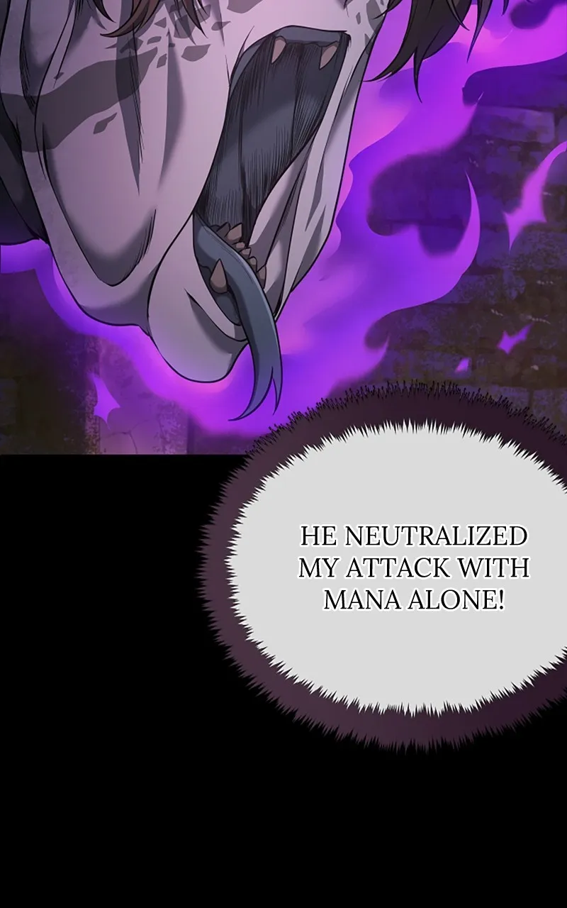 Regression of the Close Combat Mage Chapter 29 page 43 - 