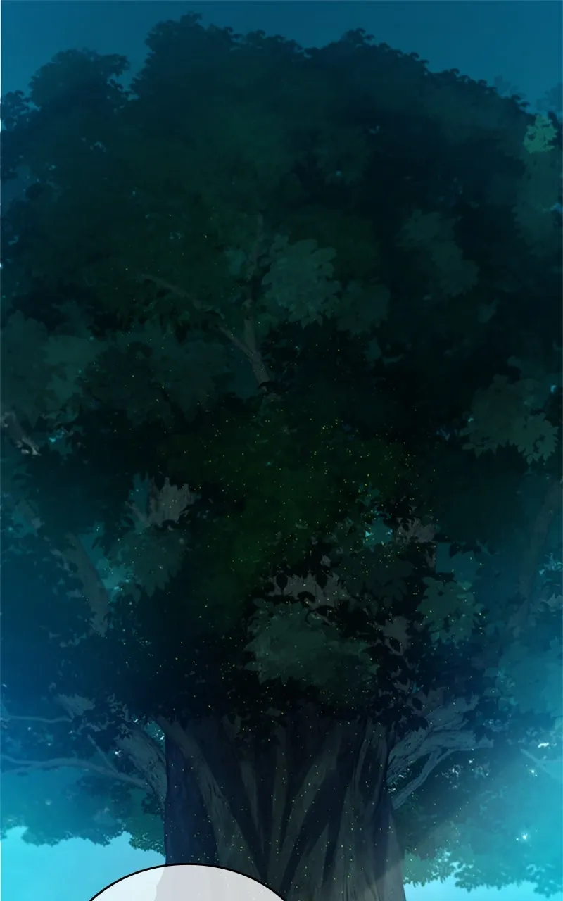 Regression of the Close Combat Mage Chapter 5 page 1 - 
