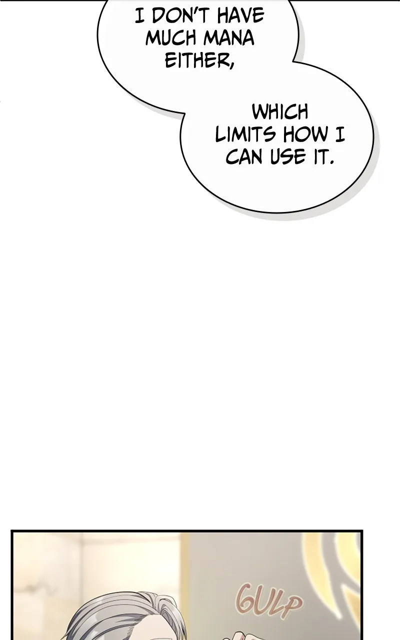 Regression of the Close Combat Mage Chapter 61 page 18 - 