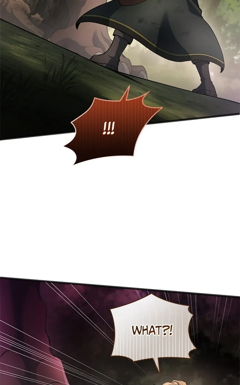 Regression of the Close Combat Mage Chapter 64 page 135 - 