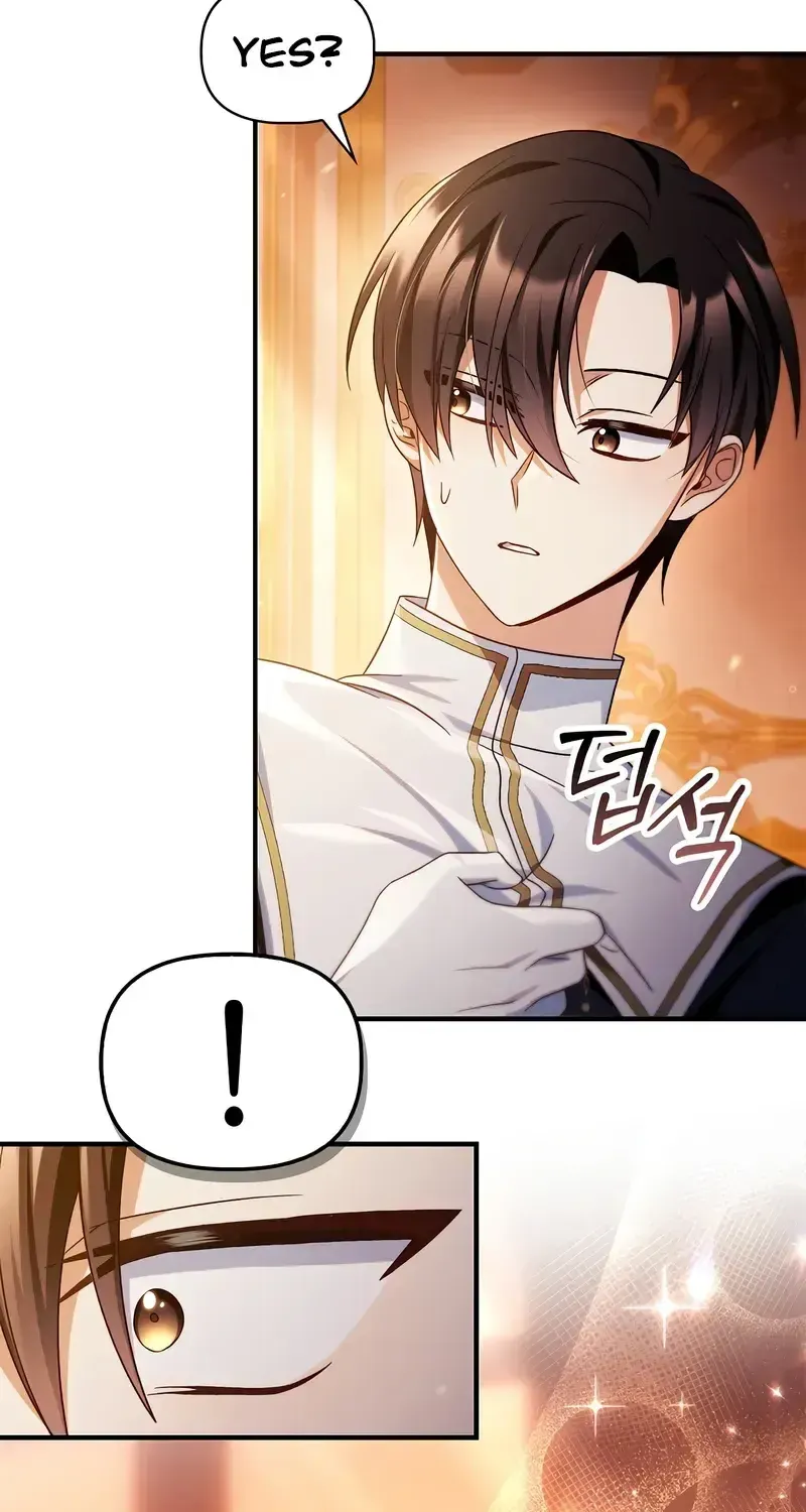 Regressor Instruction Manual Chapter 113 page 95 - 