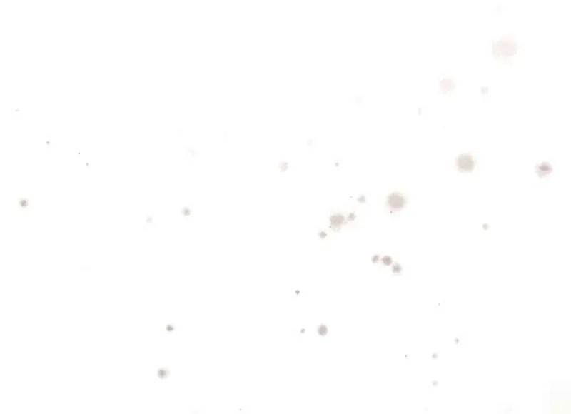 Regressor Instruction Manual Chapter 116 page 104 - 