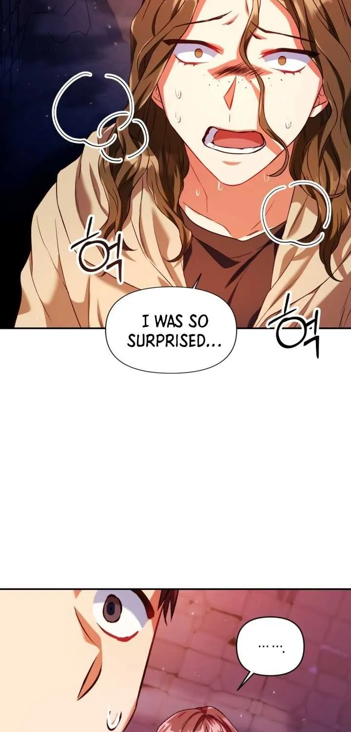 Regressor Instruction Manual Chapter 13 page 95 - 