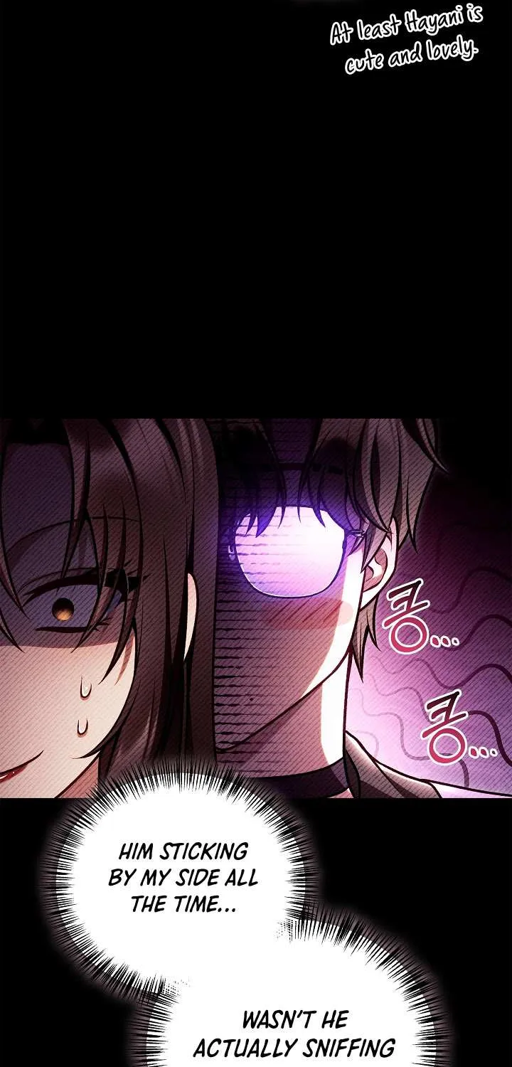 Regressor Instruction Manual Chapter 156 page 39 - 