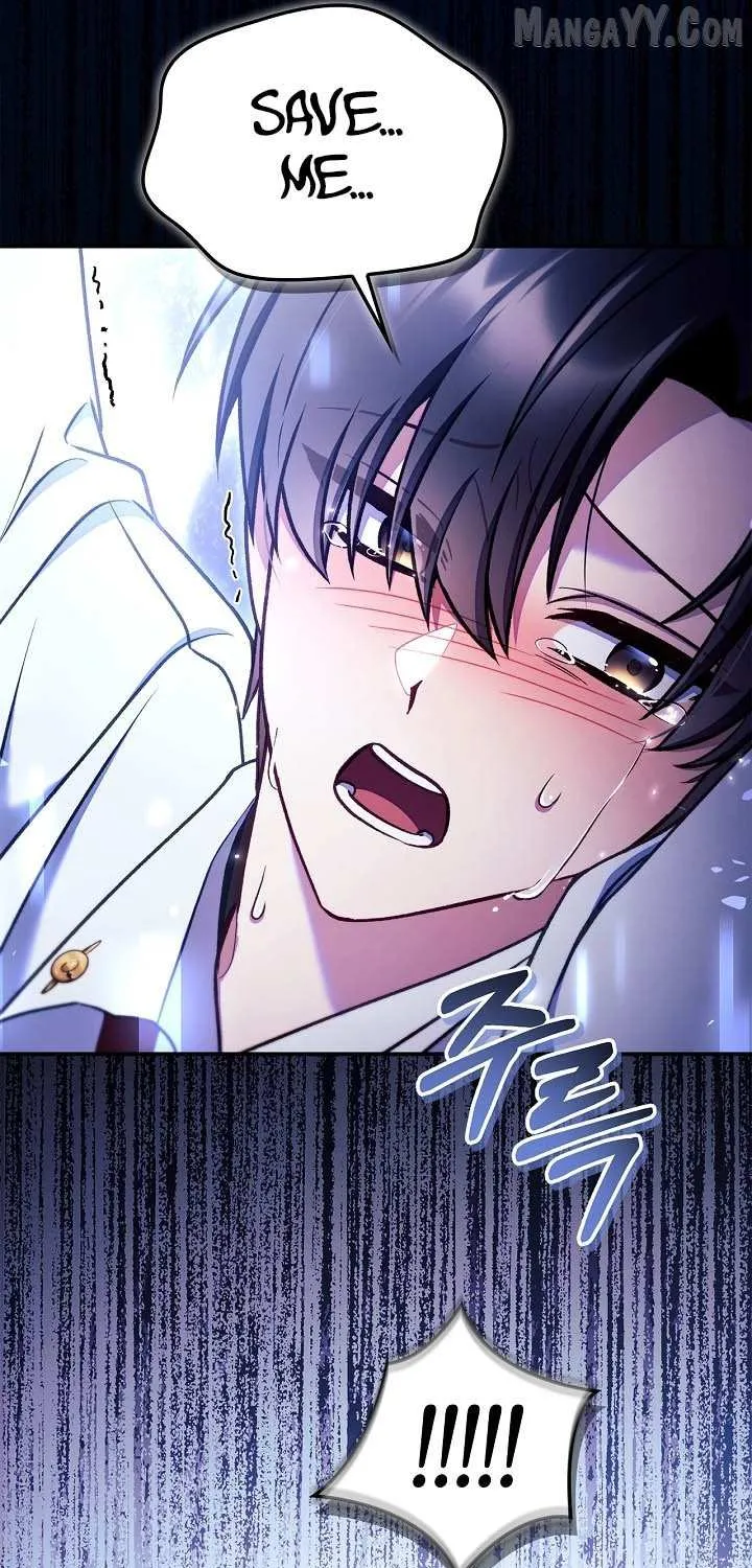 Regressor Instruction Manual Chapter 161 page 99 - 