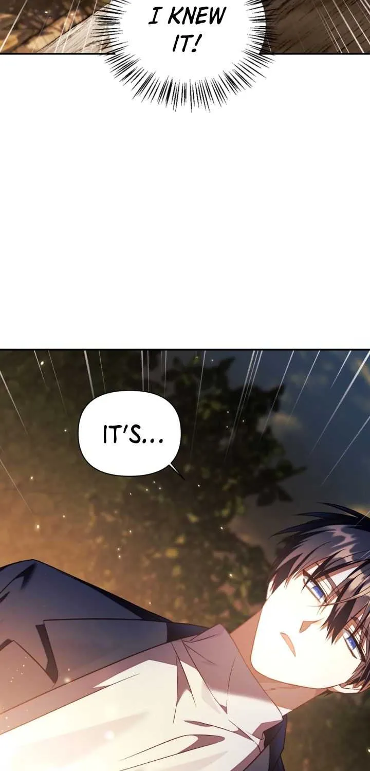 Regressor Instruction Manual Chapter 19 page 70 - 