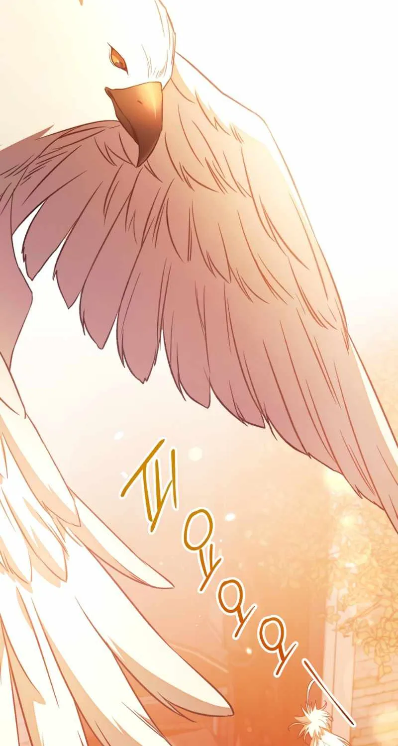 Regressor Instruction Manual Chapter 27 page 106 - 