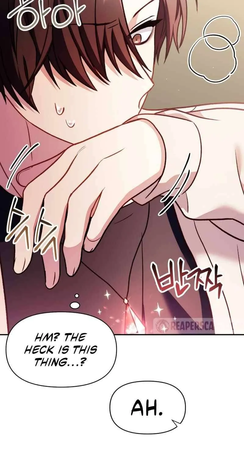 Regressor Instruction Manual Chapter 35 page 100 - 