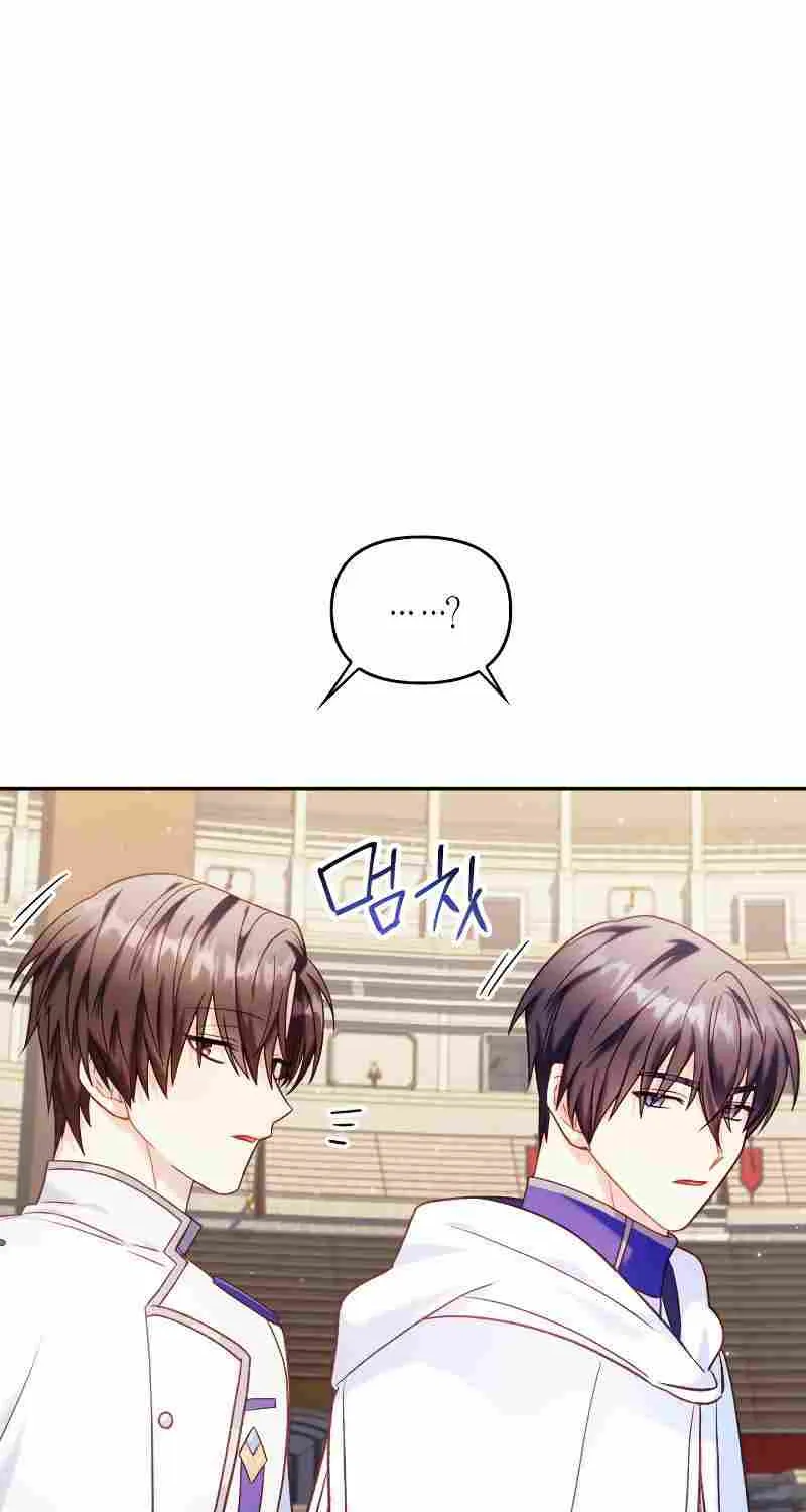 Regressor Instruction Manual Chapter 41 page 109 - 