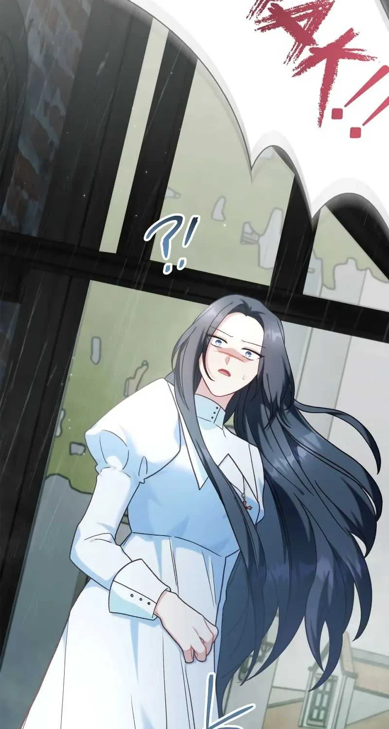Regressor Instruction Manual Chapter 47 page 96 - 