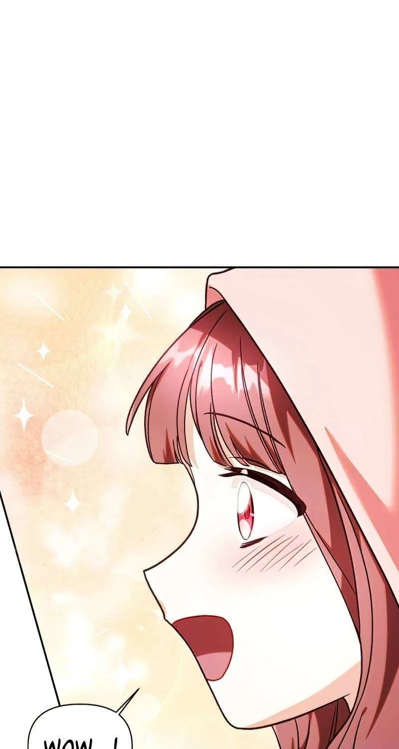 Regressor Instruction Manual Chapter 48 page 116 - 