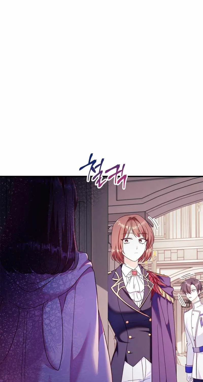 Regressor Instruction Manual Chapter 53 page 115 - 
