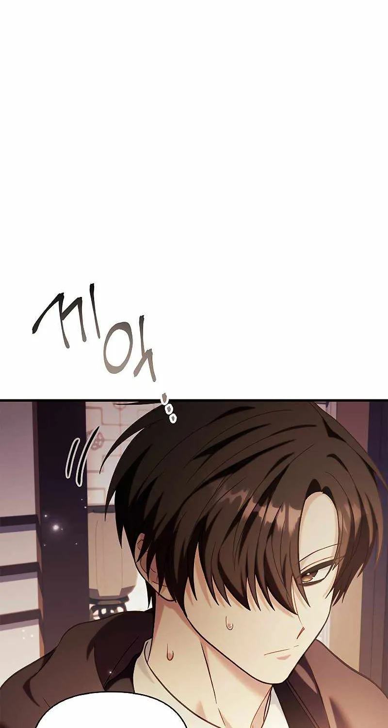 Regressor Instruction Manual Chapter 67 page 41 - 