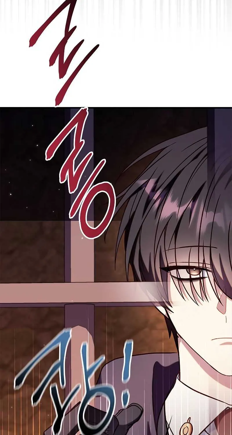 Regressor Instruction Manual Chapter 68 page 107 - 