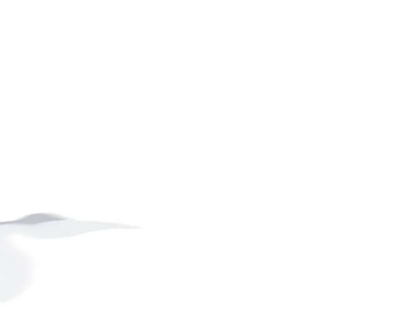 Regressor Instruction Manual Chapter 72 page 50 - 