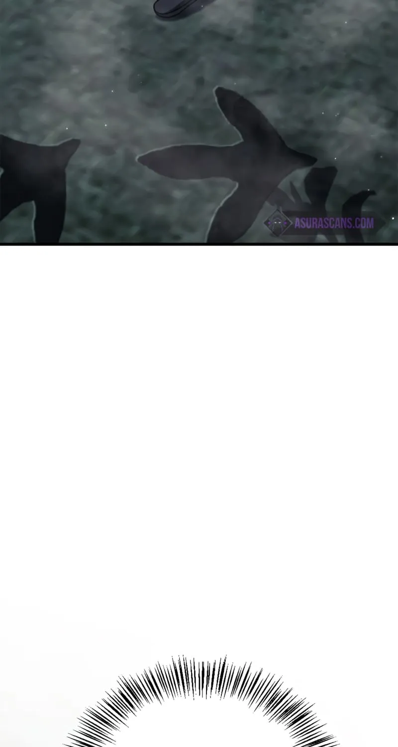 Regressor Instruction Manual Chapter 76 page 47 - 